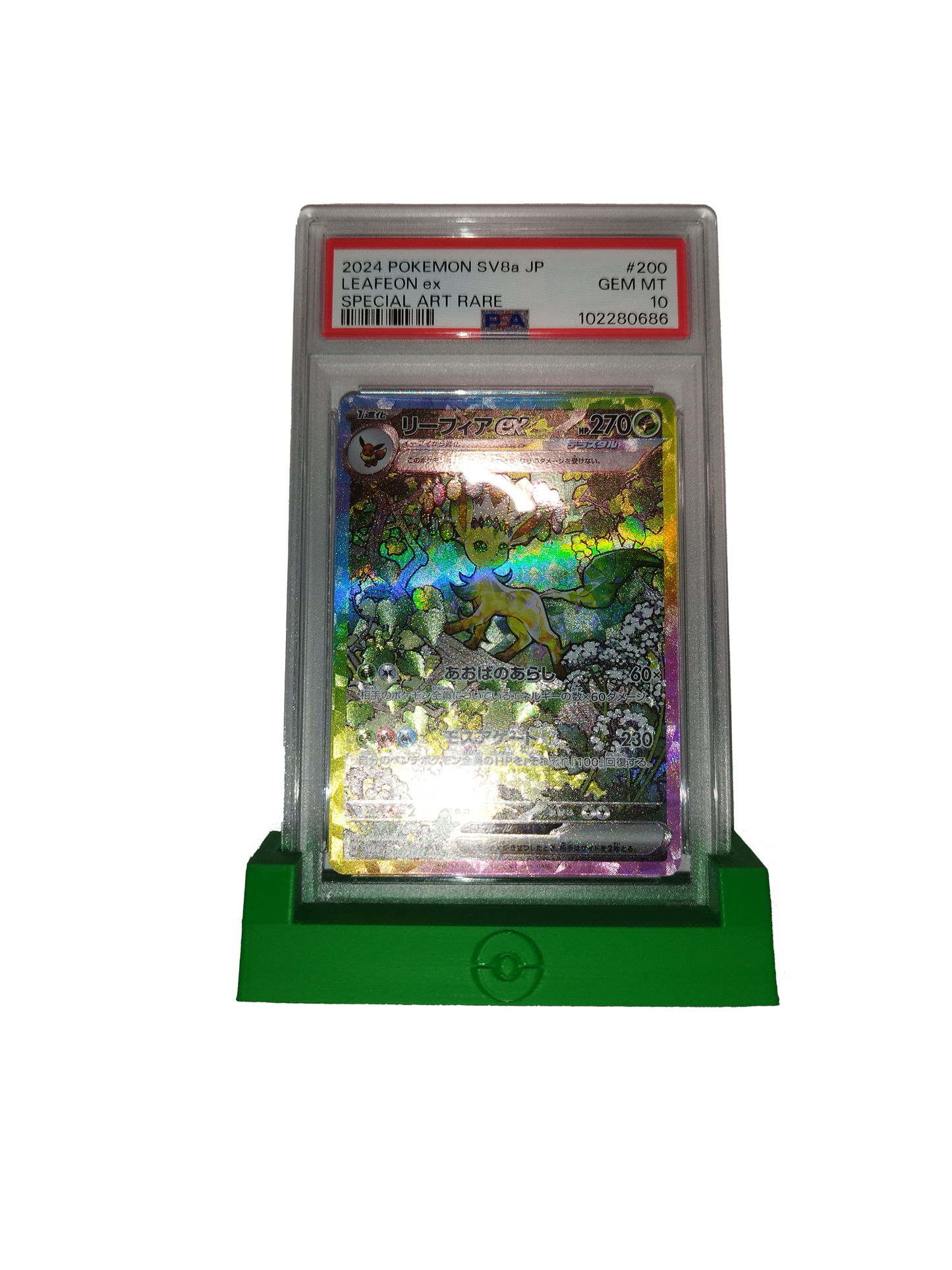 Suporte Cartas-Slabs PokéLotas