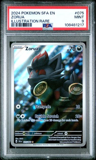 Zorua PSA9 PokéLotas